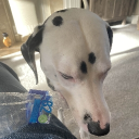 avatar Rein's_Husband