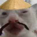 schniggy