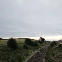 cjcallum
