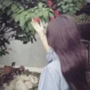 ryunotpsuter