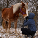 avatar ℭ𝔞𝔯𝔬𝔩𝔦𝔫𝔢