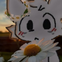 avatar Лосяш Под Столом