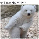 haang8326