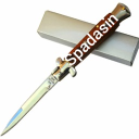 avatar ahile de romania