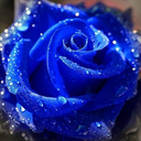 blu avatar