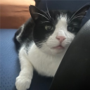 prophecylike#6383's avatar