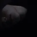 twich_kioto0xd avatar