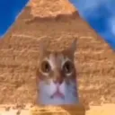 therealgudbai