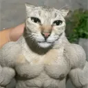 uncthebill