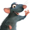 remy4488