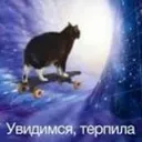 domofon.xyz