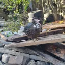 Аватар kirill126683