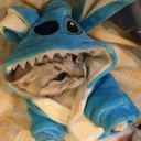 Discord Avatar