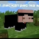 saylend_