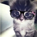 avatar -ꨄ𝐸𝓂𝒾ꨄ-