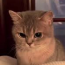 avatar !                          R O L