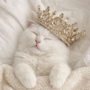 avatar !                          R O L