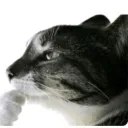 Аватар kr.0zelloov