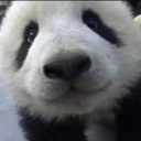 wizzidy#2551's avatar