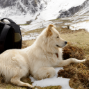 avatar Jakub <³ (◍•ᴗ•◍)