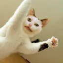 julx180