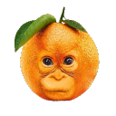 avatar Orangeutan