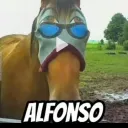 adolfos10 avatar