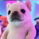 sdtekaa