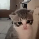 taithedev