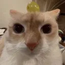 cosmo_m