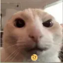 Аватар viryzz202