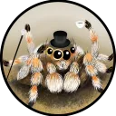 sirspiderbro