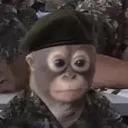 aidann.