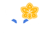 avatar 🏵 Kami 🏵