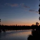 wybie017