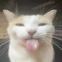 raazy_sb