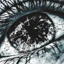 Аватар cotolot