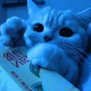 epiccatz_