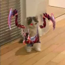 Аватар santanyy_q