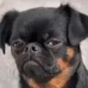 drakelytle