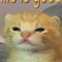 burningfloof avatar