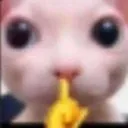 elmishixd11