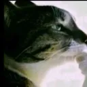 Аватар ianphil00