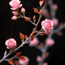 avatar 𝓛𝓾𝓬𝓴𝔂