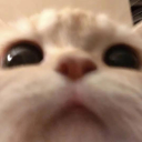 avatar MasterGotLost