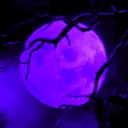 teezo_bando avatar