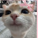 avatar 𝐌𝐞𝐥𝐢𝐬𝐬𝐚