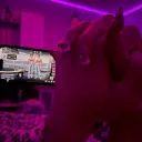 bymotobunny