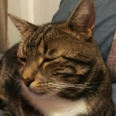 avatar ᲼᲼᲼᲼᲼᲼᲼᲼᲼