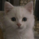 avatar 𑣲 　˚ 　ʝohnα      ᵎᵎ     ⋆   ﹒